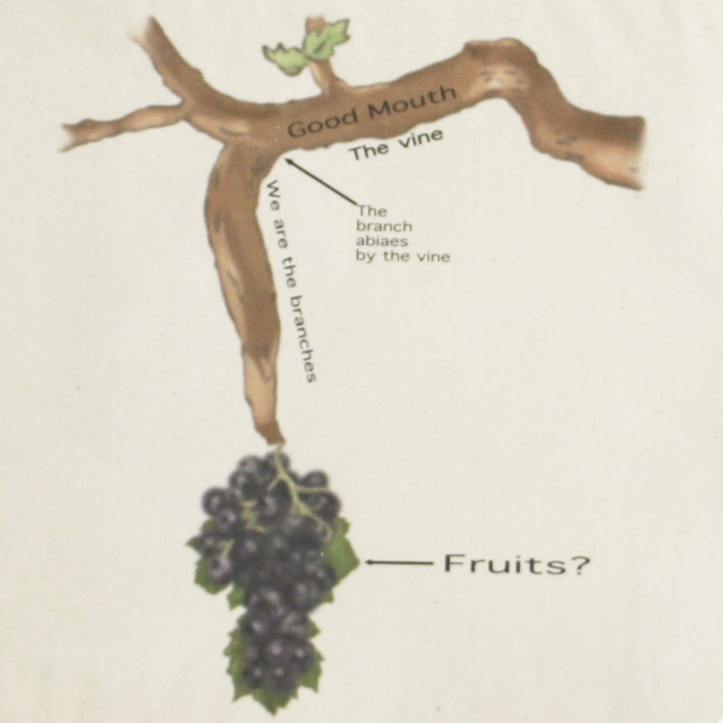 FRUITS? Tote Bag